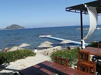 Hotel Aydem 2*