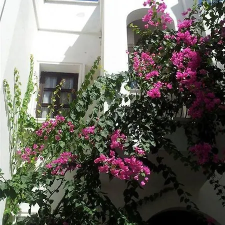 Hotel Aydem Turgutreis