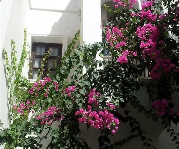 Hotel Aydem Turgutreis