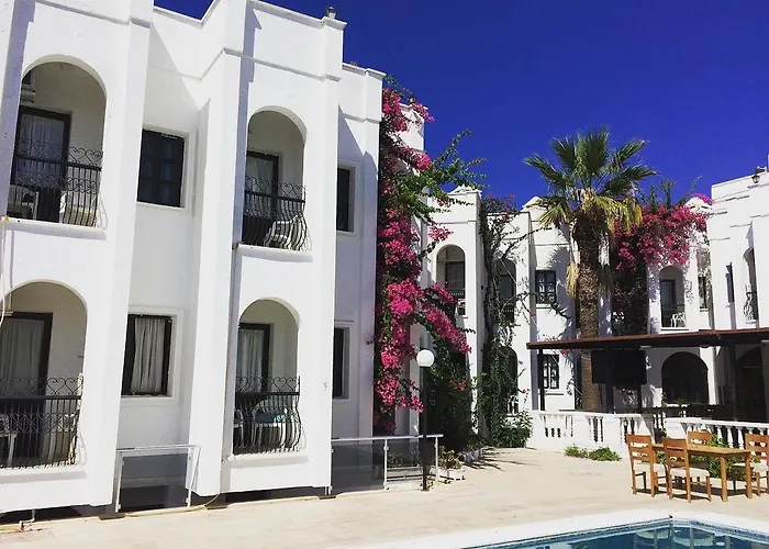 Aydem トゥルグトレイス